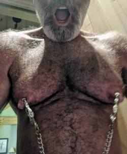 juicedmaleboobsworld:HAM. HAIRY, HUGE NIPPED, adult photos