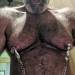 juicedmaleboobsworld:HAM. HAIRY, HUGE NIPPED, BIG TITTED, MUSCLE DADDY ROLE MODEL. DON’T CROWD. THERE’S ENOUGH MILK FOR ALL!!!