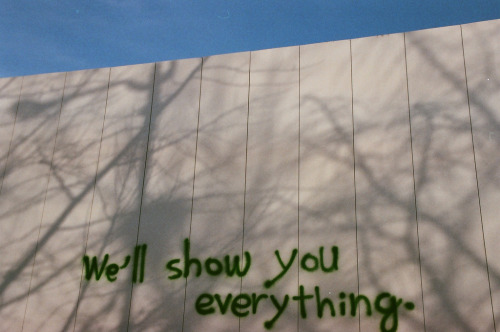 uglypnis:  SVN9