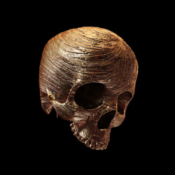 irakalan:GOLDEN SKULLSHope you like skulls… by Art Director and Creative 3D Designer BILLY BOGIATZOGLOU