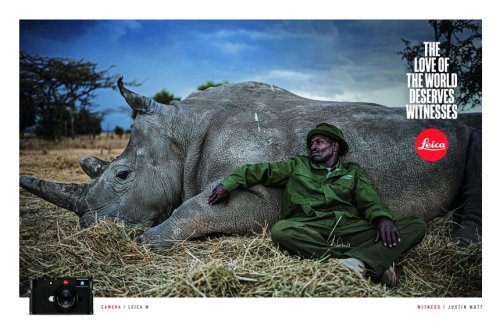 adcollector: TBWA (France) for Leica