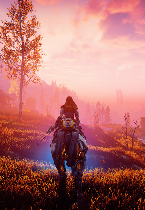 sorariku:  horizon zero dawn 29/∞