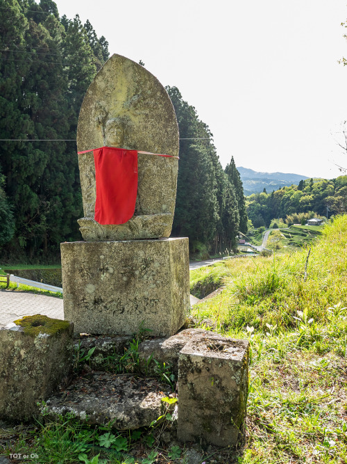 んでもって今撮影会ラストの目的地、佛隆寺の桜でございます。樹令900年のエドヒガンだそうで…すっかり葉桜ではございましたがそれはもう立派なお姿でございました。その後駅にて各自解散。mas