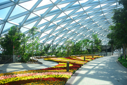 escapekit: Rain Vortex A seven-story waterfall designed by Safdie Architects is the focal point of the new Singapore’s Jewel Changi Airport. The 130-foot “Rain Vortex” is supplied by collected rainwater, and flows at the centre of a greenhouse