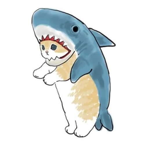 startplaysmile:Here’s a cute cat shark to brighten your day