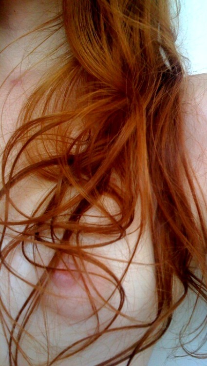 myripplesandwaves:  Pretty Ginger Nests…