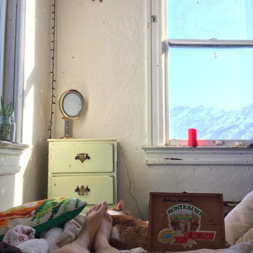 thisisthejoyoflife:having a big orange cat and living in this tiny room on the top floor with mounta