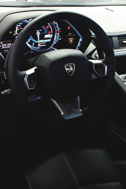 ju-icygina:   artoftheautomobile:  Lamborghini