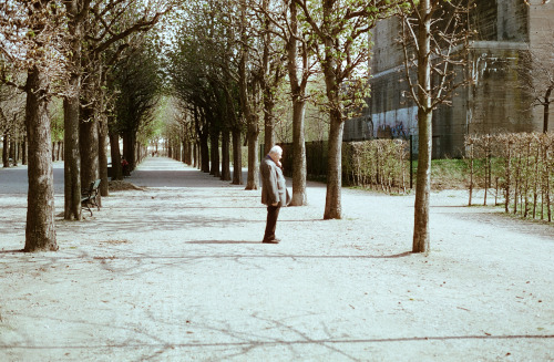 Vienna, Photo by Tina Bauer