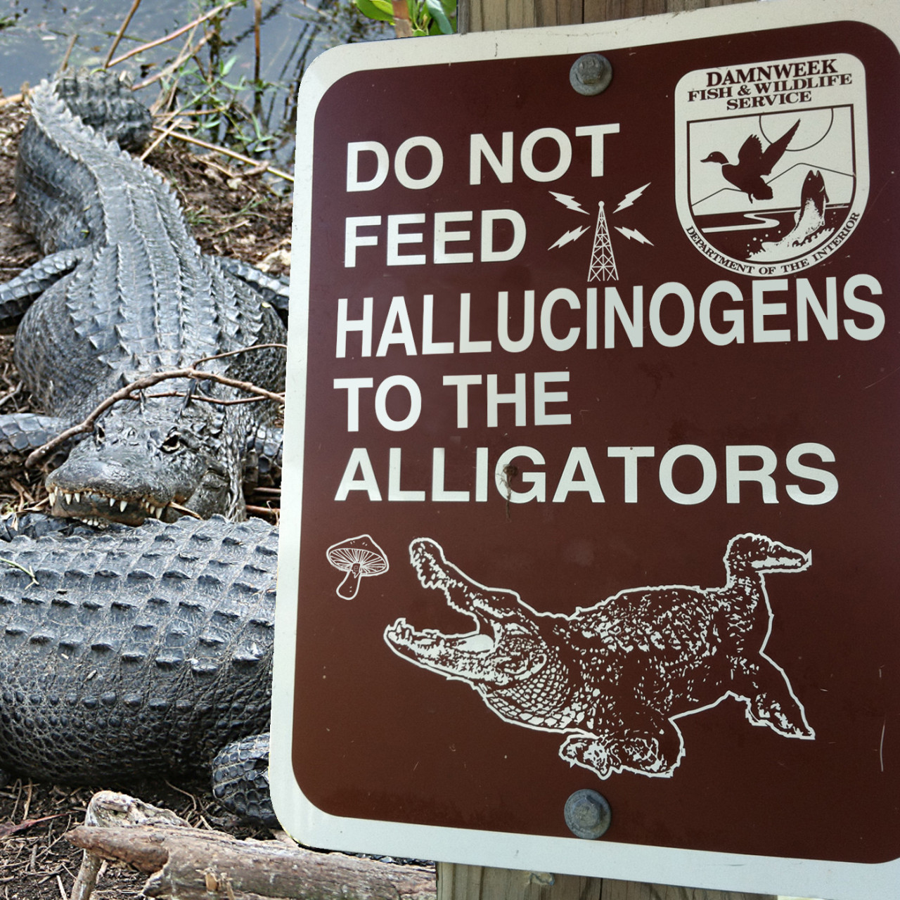 little-witchh:  holybazookas:  Some signs exist because they’re practical. Others