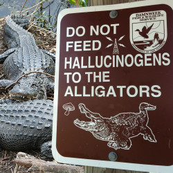 little-witchh:  holybazookas:  Some signs