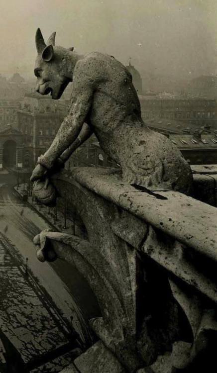 The Gargoyle of Notre-Dame overlooking Paris, circa 1910.