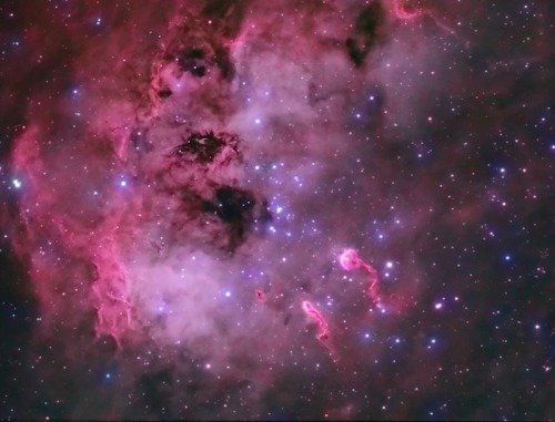 thenewenlightenmentage: IC 410 Image Credit: Steven Coates