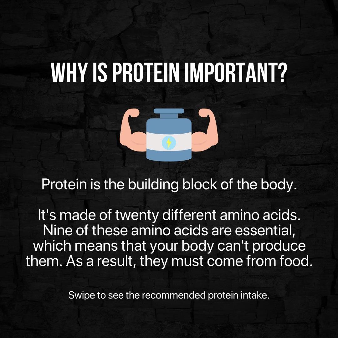 Protein is the building block of the body and the macronutrient we all love.💪