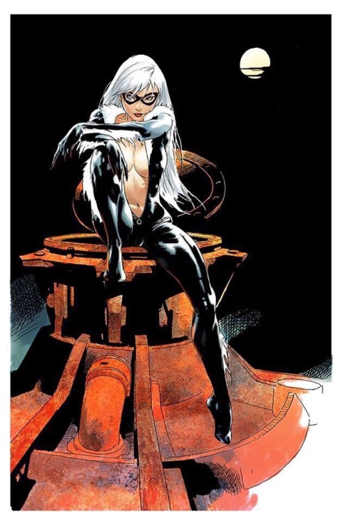 hotchixncomix: Oscar Bazal - Black Cat