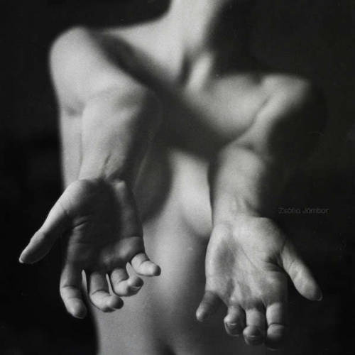 i-nymeria:  celiabasto:  100% ART  #hands