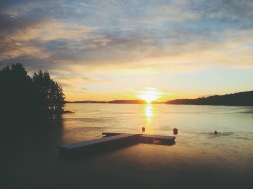 kalaset:  Påväg hem