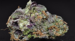 whiskey-whitewidow:  Fruity Pebbles