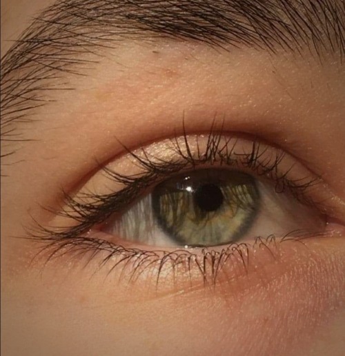 ESME CULLEN, BRIDGERTON AU