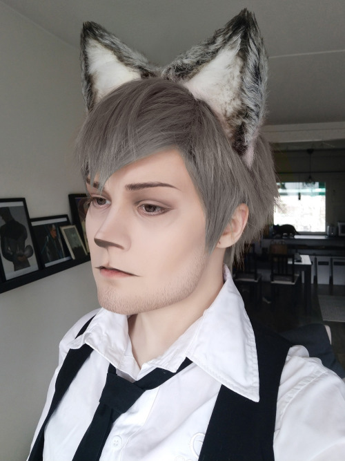  It was Legoshi’s (Beastars) turn a couple of days ago for #6cosplays . (i asked for suggestio