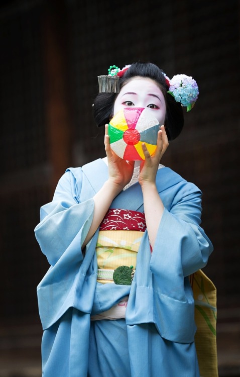 This coordinate owned by Tama okiya (Gion Kobu) is for senior maiko and is currently being worn by M