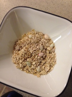 devongreen:  dashdrive:  this oatmeal has