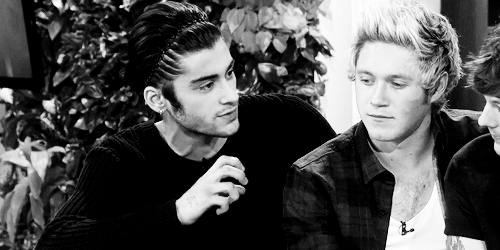 zaynsxo:  + 