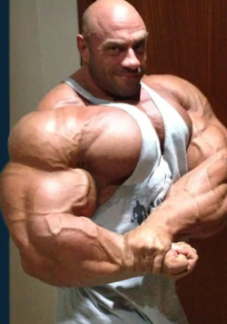 musclementoworship:  Just OMG stick my face in there…..