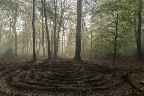 Labyrinth by Maik Nern on Flickr.