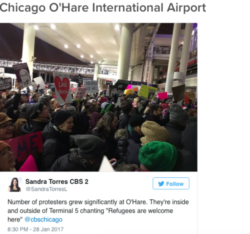 micdotcom:  14 photos show the massive protests against Trump’s Muslim ban at airports across the US