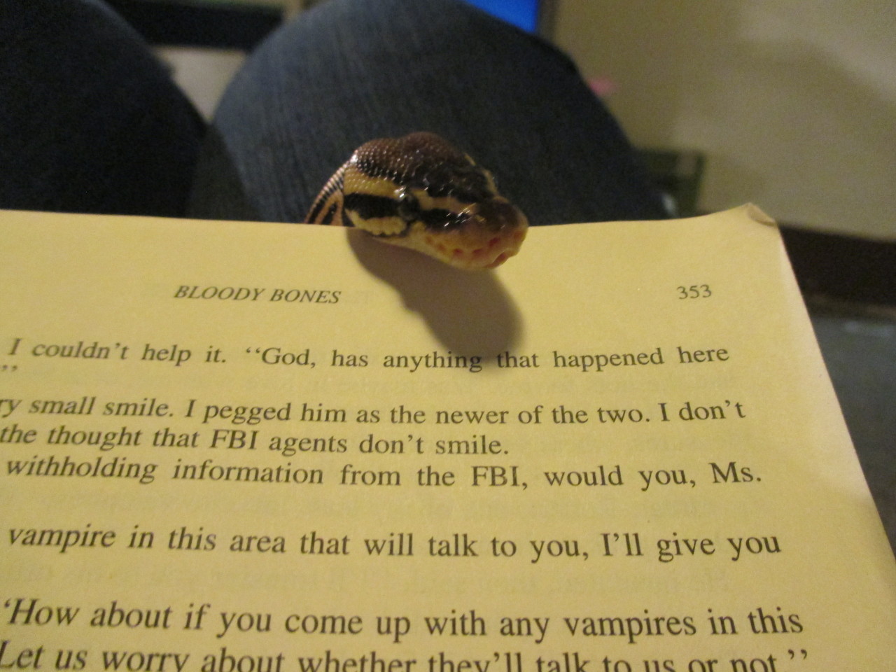 kisa-chan:  ajcrowlor:  hissykisses:  always remember to pet your book mark to let