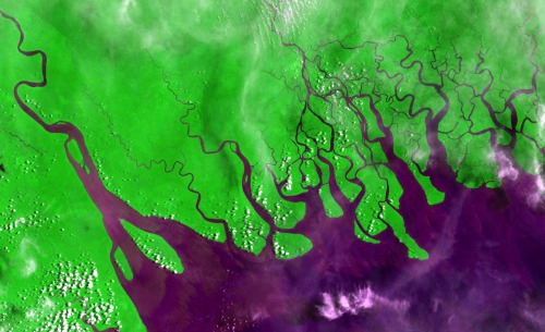 Tidally dominated deltasThis is a satellite photo of part of the Gulf of Papua captured by the USGS 