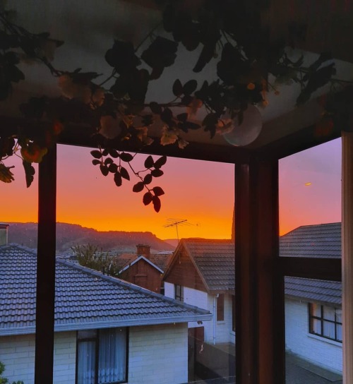 Woke up just in time to capture this#sunrise #morning #morninglight #goodmorning #sky #skyporn #pink