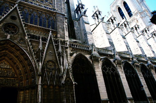 definitelydope:  (by Sabrina Rushing) 