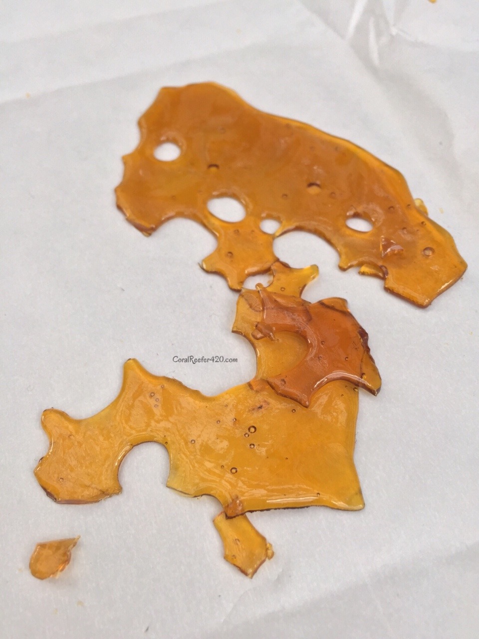 coralreefer420:  SoCal Cannabis Cup day 1 