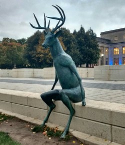 autumnbramble:  jkemosabe:  murderousart:  einthebusinessdeer:  servicek9s:  demicia:  ryuichifoxe:  The nightmare deer welcome you to Columbus Ohio (8  This makes me so uncomfortable  WHY  Me in my natural state.  IM IN COLUMBUS AND I HAVE NEVER SEEN