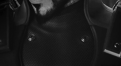 arsuf:“You sure you’re ready for this?”“Only one way to find out.”