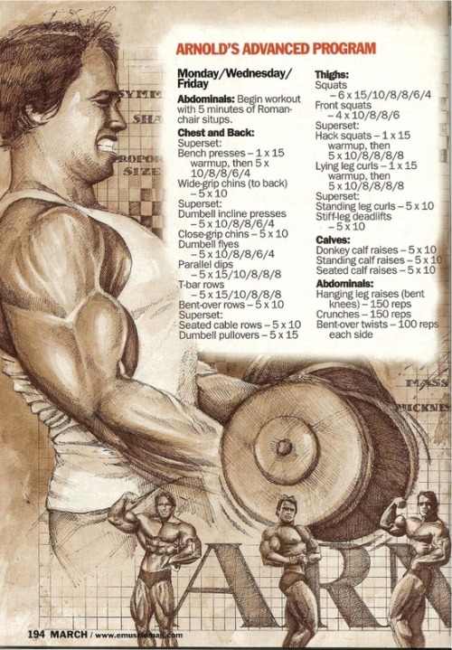 steadymirin:  always reblog arnold.