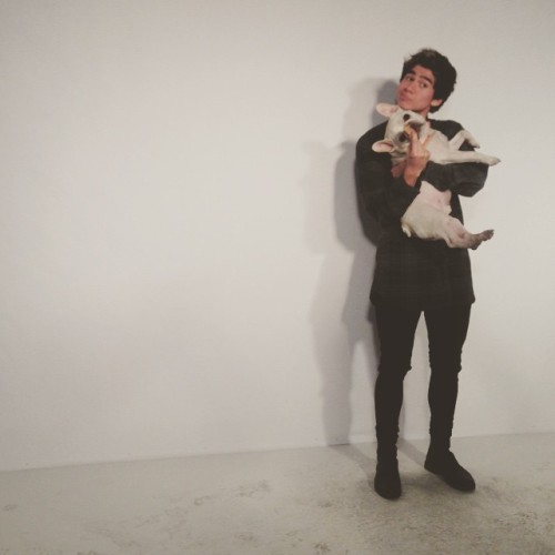 ihemmingsluke:Calum + Gizmo 