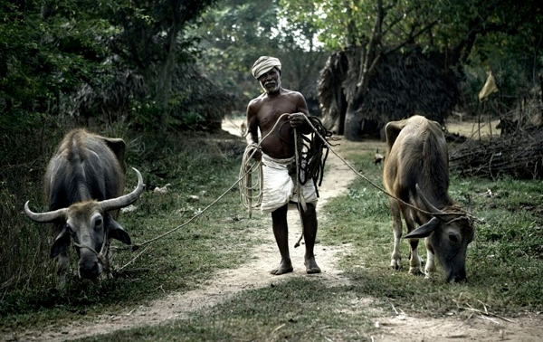 nubbsgalore:  photos for the laia foundation by pep avila in vedanthanga, a village