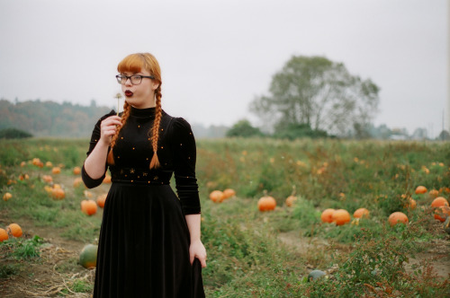 sierramckenzie: <3 halloween pumpkin patch masterpost. me by dylan staley