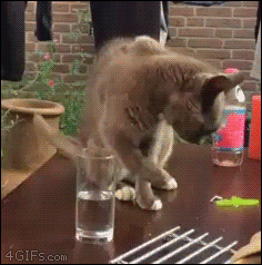 jaidefinichongg:    Cuando estas tomando y alguien se roba tu chela.  