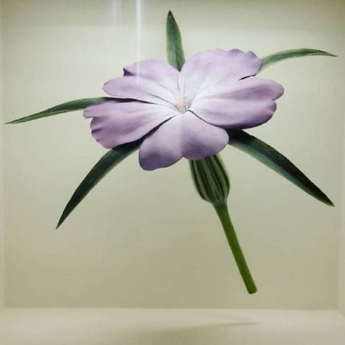 #blütensaal #plantmodel #blossom (hier: Botanischer Garten und Botanisches Museum Berlin)