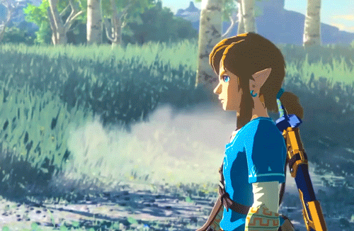 hyliansheik:  Link… you are the light – our light – that must shine upon Hyrule
