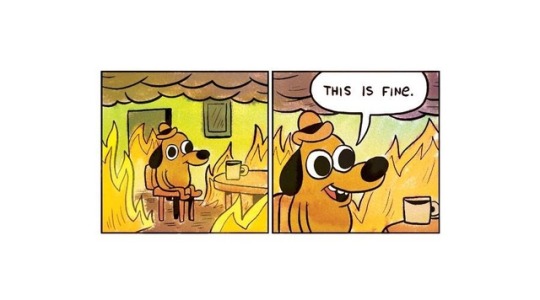 trentadepresso: The marvel fandom after watch Avengers: Endgame trailer :  