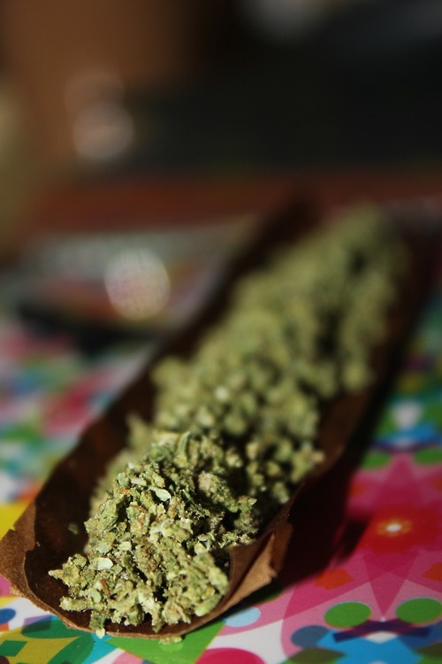 potterest-com:  Photo  Download Free marijuana growing guide  Do you sell cannabis related products? showcase them for free and link to your own website. Join Potterest today…it only takes like a toke or two.