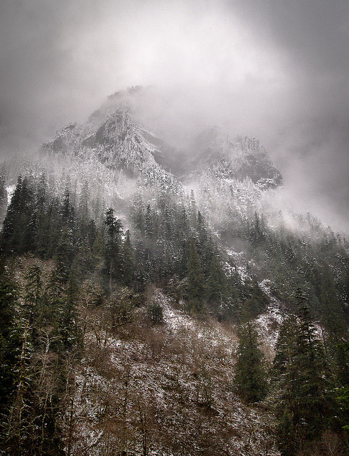 Mountain Trek by Danielle Bednarczyk on Flickr.