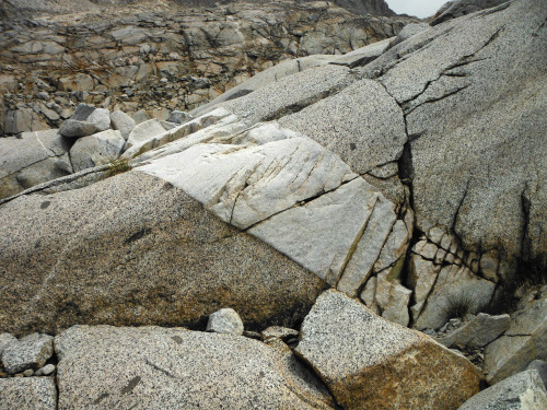 Incredible example of an aplite dike cutting through darker granodiorite. Western Pinnacles Lakes Ba