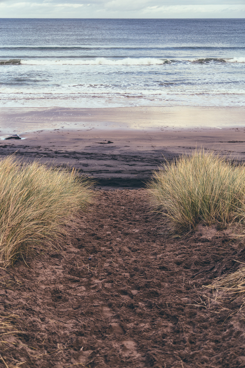 northskyphotography:  To the Beach by North Sky Photography