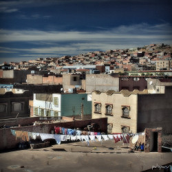 thealgerian:  Maghnia, Algeria.